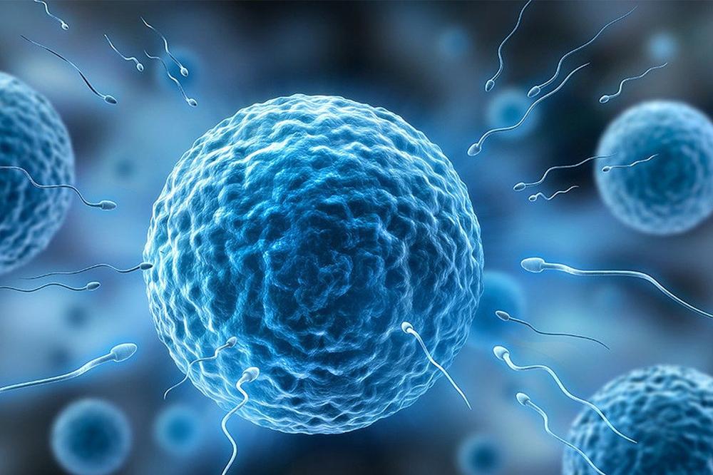 sperm analysis